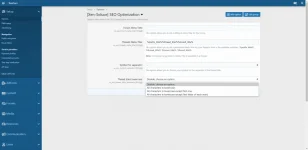 xs_seo_settings.webp