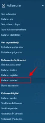 rozetcpnav.webp
