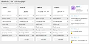 premium_page_style_1.webp